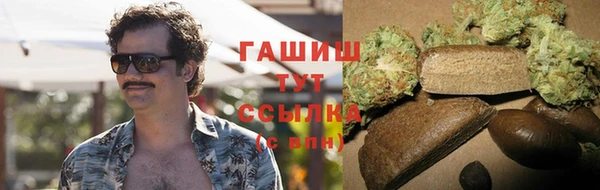 хмурый Белокуриха