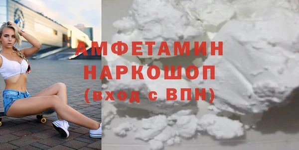 шишки Покачи