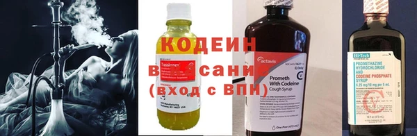 хмурый Белокуриха