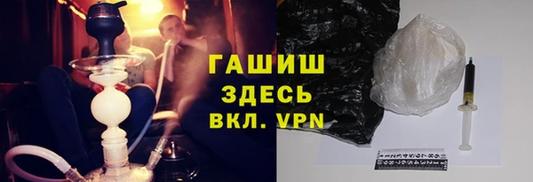 хмурый Белокуриха