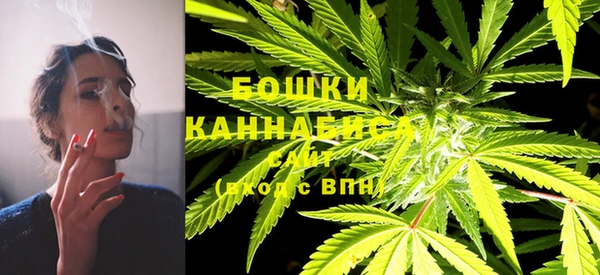 хмурый Белокуриха