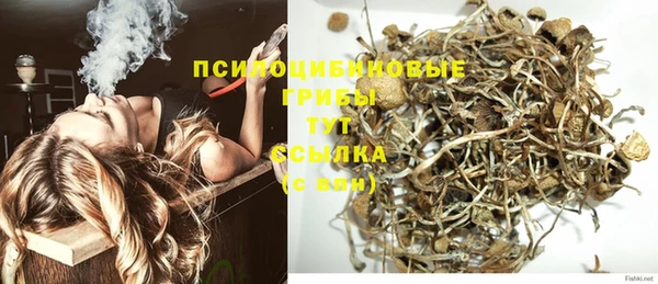 хмурый Белокуриха