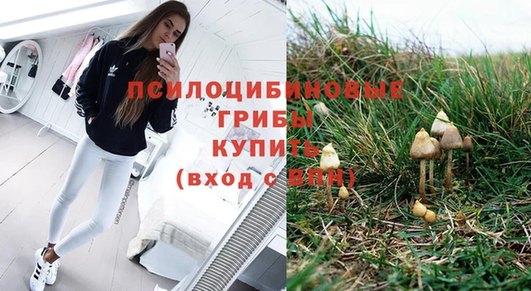 стафф Белоозёрский