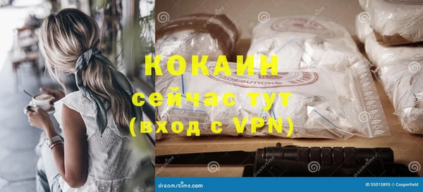 хмурый Белокуриха