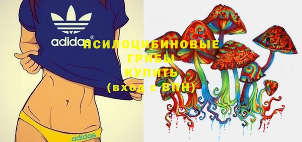 хмурый Белокуриха