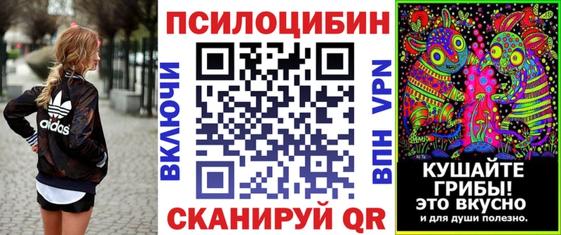 MEGA маркетплейс  где можно купить наркотик  Малая Вишера  Псилоцибиновые грибы Cubensis 